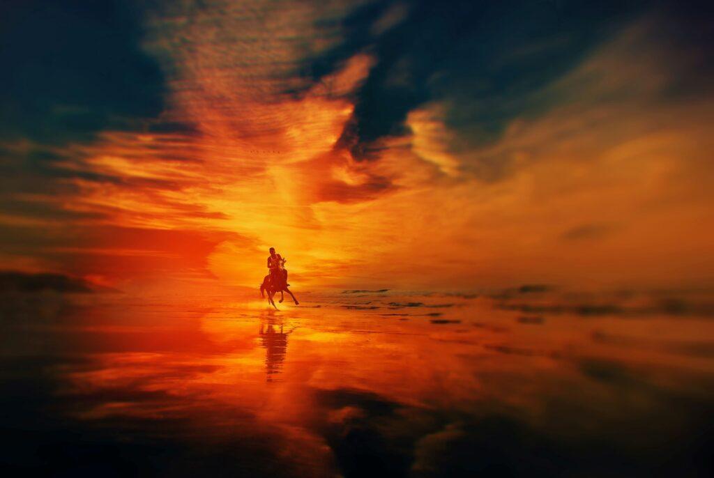 A horse and rider gallop against the background of a bright sunset.