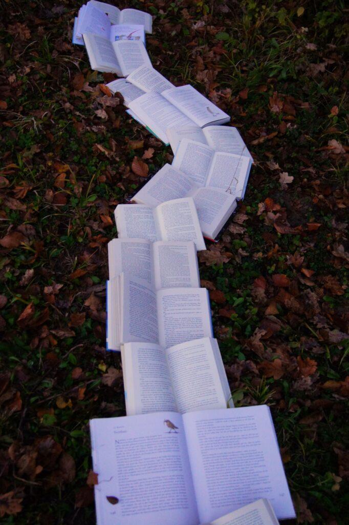 Open books are lined up in a winding vertical row, lying on top of fallen autumn leaves.