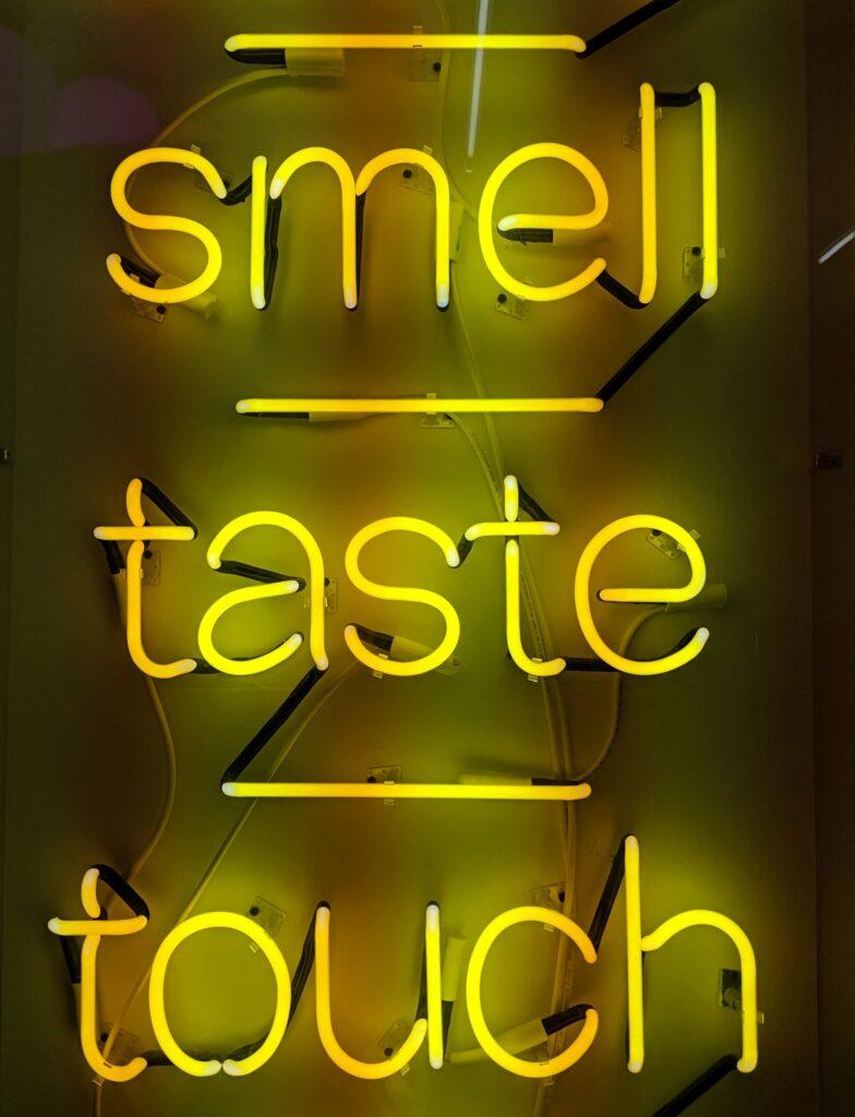The words "smell," "taste," and "touch" are spelled out in yellow neon.